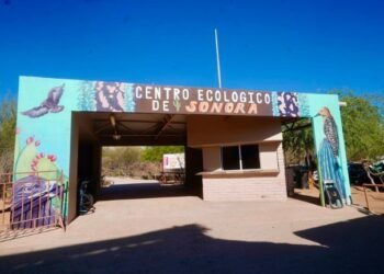 Invertirán 5 millones para revivir el acuario del Centro Ecológico de Hermosillo