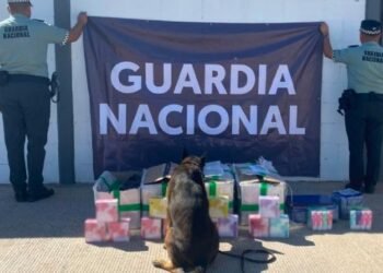 Aseguran más de mil vapeadores en el Aeropuerto Internacional de Hermosillo