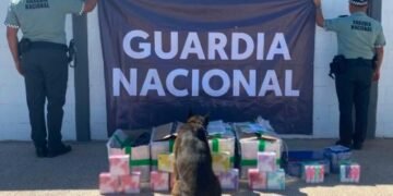 Aseguran más de mil vapeadores en el Aeropuerto Internacional de Hermosillo