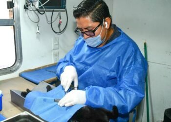 Activan programa de esterilización responsable en Bahía de Kino