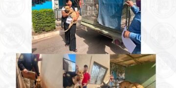 Rescatan a dos perros por presunto maltrato tras denuncia en Ciudad Obregón