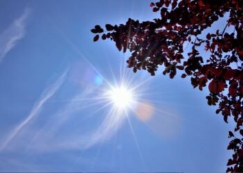 Sonora tendrá viernes caluroso, cielos despejados y fuertes rachas de viento