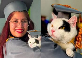 La “Licenciada michi” que conquistó internet con su graduación