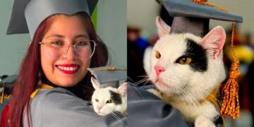 La “Licenciada michi” que conquistó internet con su graduación