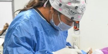 Continúan esterilizaciones gratuitas para perros y gatos en Hermosillo