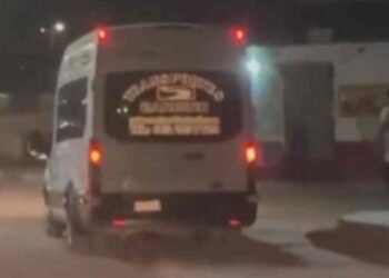 Fiscalía de Sonora investiga presunto caso de maltrato animal en Hermosillo