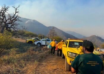 Abren centro de acopio en Hermosillo para apoyar a brigadistas de Arivechi Abren centro de acopio en Hermosillo para apoyar a brigadistas de Arivechi