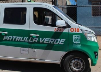 Más de 7 mil reportes por vehículos abandonados movilizan a la Patrulla Verde Más de 7 mil reportes por vehículos abandonados movilizan a la Patrulla Verde