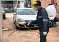 Más de 2 mil viviendas han sido fumigadas para prevenir la rickettsia