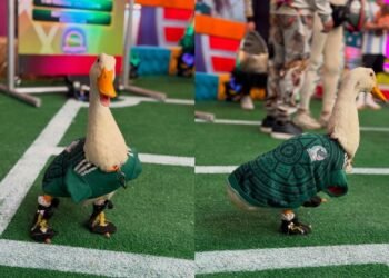Pato Merlín es nombrado embajador de CDMX