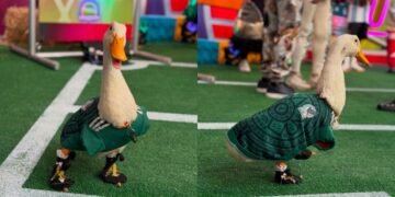 Pato Merlín es nombrado embajador de CDMX