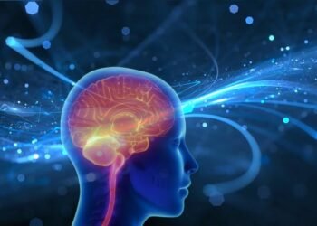 Llega a México “WEB”: tecnología médica de vanguardia para tratar aneurismas cerebrales