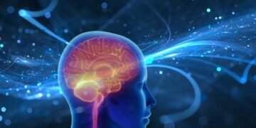 Llega a México “WEB”: tecnología médica de vanguardia para tratar aneurismas cerebrales