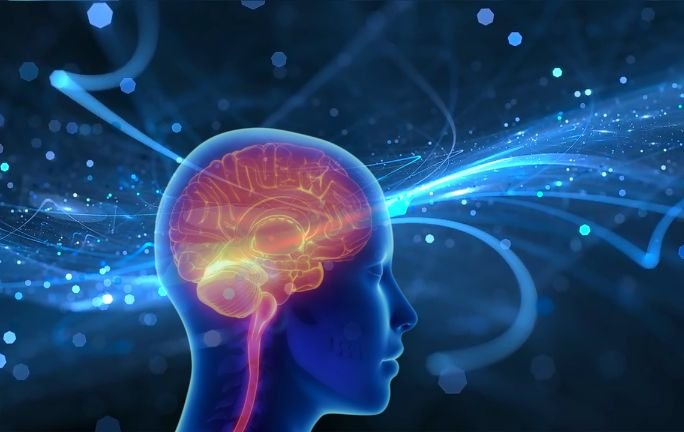 Llega a México “WEB”: tecnología médica de vanguardia para tratar aneurismas cerebrales Llega a México “WEB”: tecnología médica de vanguardia para tratar aneurismas cerebrales