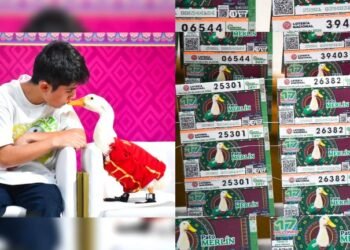 El Pato Merlín ya tiene su propio billete de la Lotería Nacional