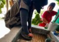 Salud Sonora refuerza llamado para eliminar criaderos de mosquitos y prevenir el dengue
