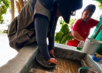 Salud Sonora refuerza llamado para eliminar criaderos de mosquitos y prevenir el dengue