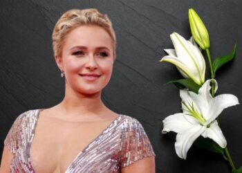 Fallece la actriz Hayden Panettiere a los 36 años: Esto es lo que se sabe hasta ahora