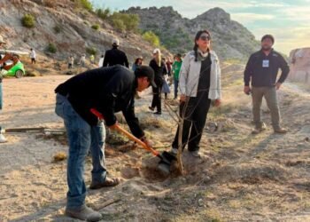 La Sauceda se une a la Jornada Nacional de Reforestación 2026 La Sauceda se une a la Jornada Nacional de Reforestación 2026