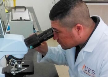 UES busca convertir toneladas de residuos en materiales útiles mediante tecnología 3D UES busca convertir toneladas de residuos en materiales útiles mediante tecnología 3D