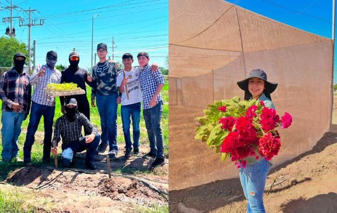 Estudiantes de la UTE preparan flores tradicionales para el Día de Muertos Estudiantes de la UTE preparan flores tradicionales para el Día de Muertos