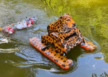 Jóvenes mexicanos usan tecnología para combatir la basura en los ríos Jóvenes mexicanos usan tecnología para combatir la basura en los ríos