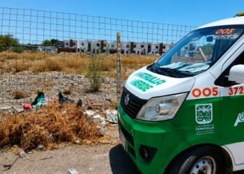 Van por lotes baldíos sucios para evitar incendios y fauna nociva Van por lotes baldíos sucios para evitar incendios y fauna nociva