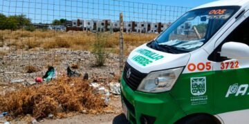 Van por lotes baldíos sucios para evitar incendios y fauna nociva
