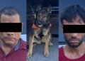 Unidad K-9 participa en operativo que termina con dos detenidos