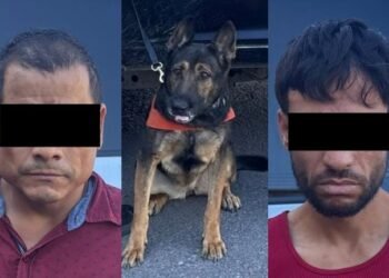 Unidad K-9 participa en operativo que termina con dos detenidos