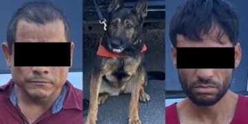 Unidad K-9 participa en operativo que termina con dos detenidos
