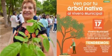 Entregarán árboles nativos gratis este sábado 17 Octubre en el Vivero Municipal de Hermosillo