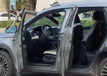 Fuertes vientos provocan aparatoso incidente; una rama termina dentro de una camioneta