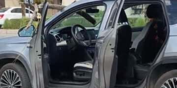 Fuertes vientos provocan aparatoso incidente; una rama termina dentro de una camioneta