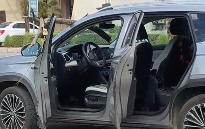 Fuertes vientos provocan aparatoso incidente; una rama termina dentro de una camioneta Fuertes vientos provocan aparatoso incidente; una rama termina dentro de una camioneta