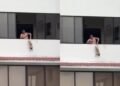 ¡JUSTICIA! Cae sujeto captado colgando a un perrito desde el balcón de un edificio