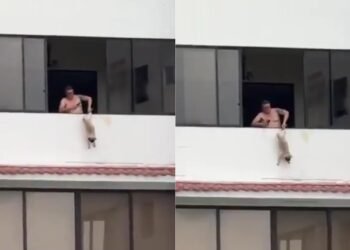 ¡JUSTICIA! Cae sujeto captado colgando a un perrito desde el balcón de un edificio